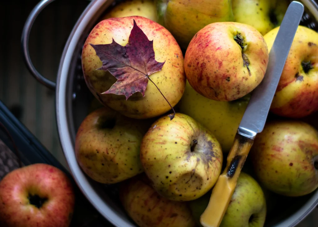 Autumn harvest of apples by Monika Grabkowska on Unsplash